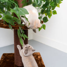 Árbol Rascador Para Gatos Diseño Natural Leaves