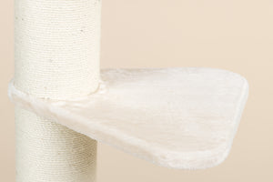 Royalty Beige
