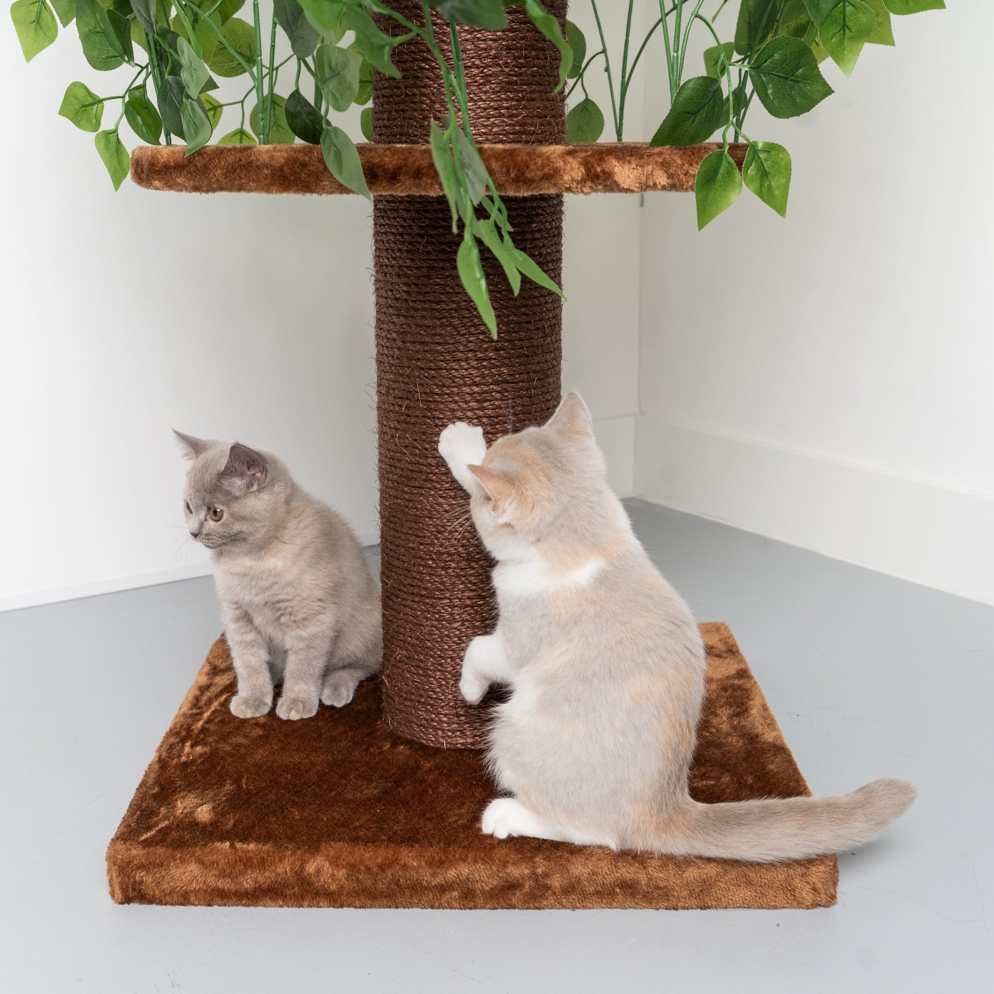 Árbol Rascador Para Gatos Diseño Natural Leaves – RHR Pets ES