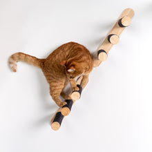 Muro Escalada Para Gatos - Set de Escaleras (Blackline)