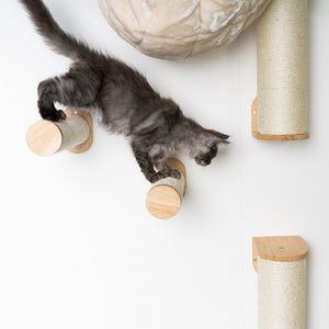 Muro Escalada Para Gatos - Set de Postes Sisal (Beige)
